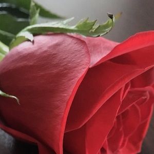 Meet your Posher, Cathy